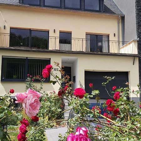 Ferienwohnung "Zum Klosterruinenblick" 크로프 외부 사진