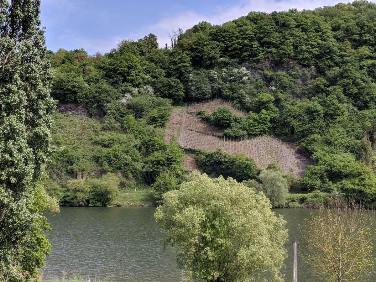 Ferienwohnung "Zum Klosterruinenblick" 크로프 외부 사진